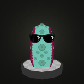 Coozie